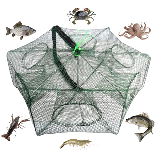 Fishing Köderfischreuse, kleine Fischfalle,...