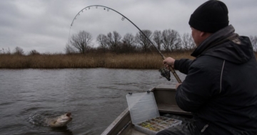 Angler drillt einen Hecht mit kräftiger Spinnrute