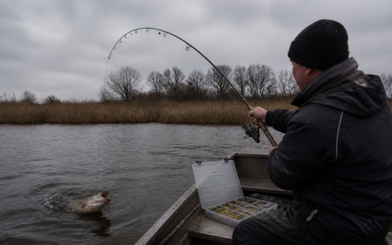 Angler drillt einen Hecht mit kräftiger Spinnrute